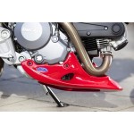 Motorspoiler für die Ducati Monster 696/796.